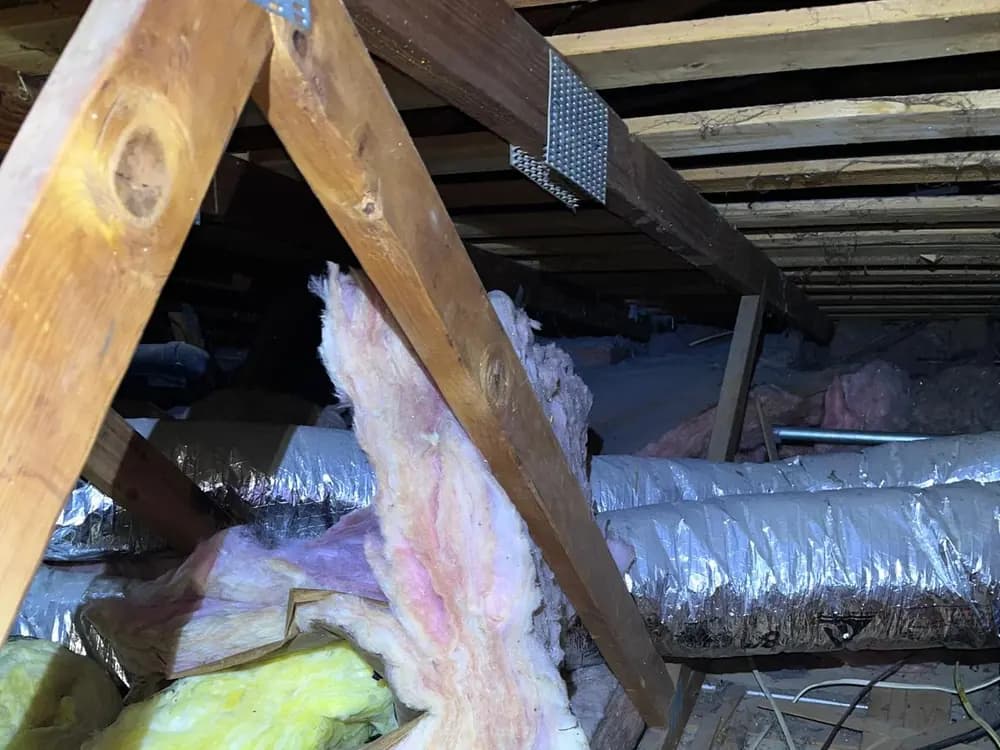 Old insulation torn apart and pushed aside between attic joists, with debris scattered across the surface.