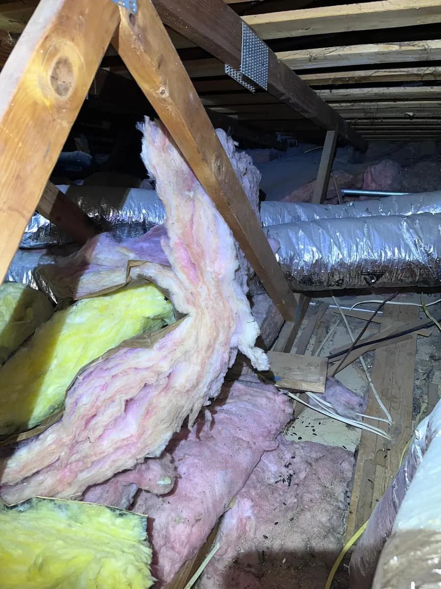 Piso de ático con aislamiento viejo desgarrado y esparcido entre las vigas, mezclado con escombros y excremento de roedores.